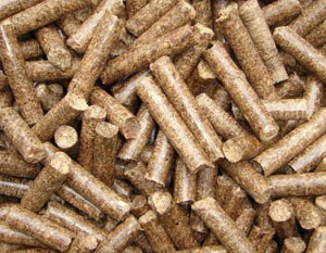 Se espera que el 2016 para grabar altas importaciones de pellets de madera: Reino Unido