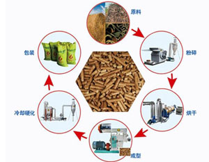 China impulsará producción de bioenergía