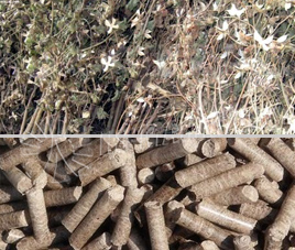 Cotton Straw Pellet Line