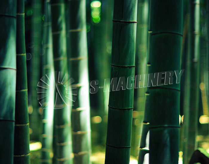 Bamboo Pellet Line